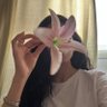 Raneem's profile picture