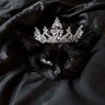 bitbit's profile picture