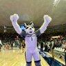 (formerly) Furphy Fur Three's profile picture
