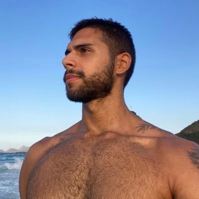 felipe ꕤ's profile picture