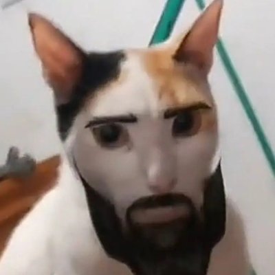 Meeple's profile picture