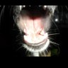 Kalee's profile picture