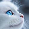 🇯🇵 猫侍2 🇯🇵's profile picture