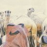 Profilbild von سعد