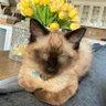 Profilbild von Mama