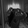 Фото профиля Nour 👁️