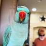 chickawhat profil fotoğrafı