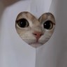 ぺけたこ 的头像