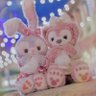 にん🐻❤︎ profil fotoğrafı