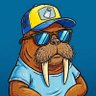 SaltyWalrus's profile picture