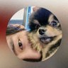 Profilbild von show