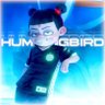 Фото профиля HummingBird