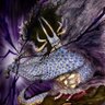 Profilbild von おーぼん