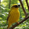 🐦ALittleBird🐦 的头像