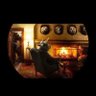 XOColdwar profil fotoğrafı