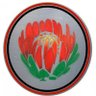 CompactaPro's profile picture