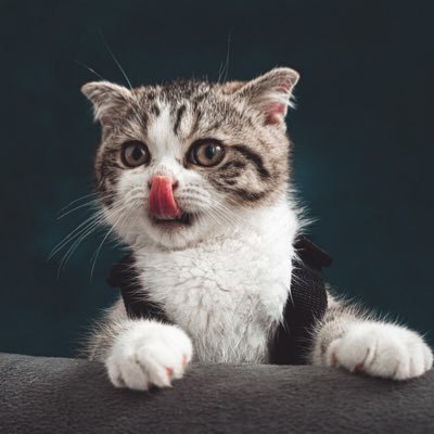 asuharete's profile picture