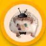 Kria's profile picture