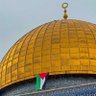 Free Palestine profil fotoğrafı