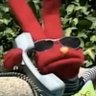 acústico 🏵's profile picture