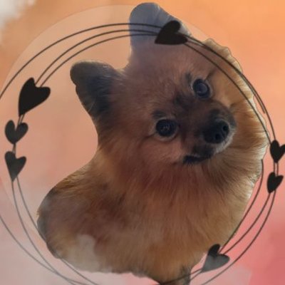 виви мантиса | вафелька's profile picture