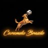 Caramelo Brazile's profile picture