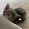 July 的头像
