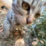 jeje 🦊 profil fotoğrafı