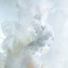 blanc's profile picture