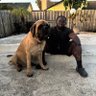Florida Man profil fotoğrafı