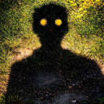 A Storm's profile picture