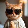 Monsieur Chat profil fotoğrafı