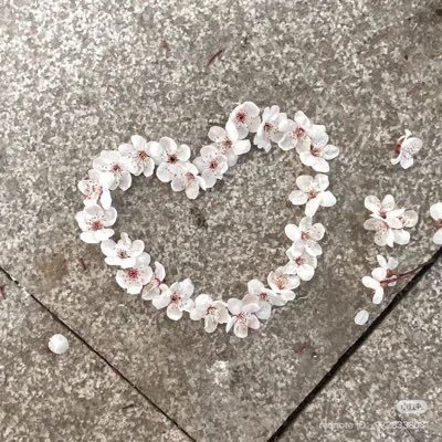 vbieswithcham's profile picture