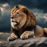Born Legend profil fotoğrafı