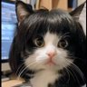 MemE Bouvier 的头像