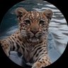 dafir's profile picture