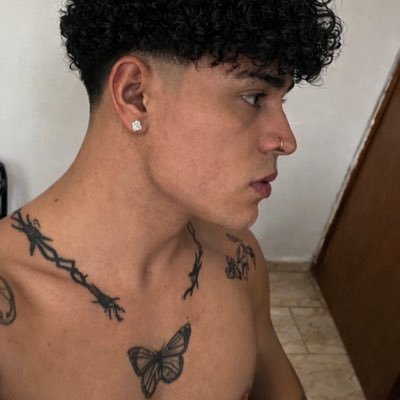 sanches_feliipe's profile picture