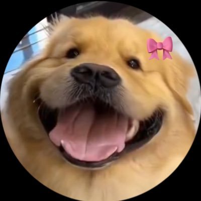 kkeokkeonono's profile picture