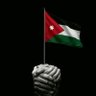 loay🇯🇴🇯🇴🔴⚫ 的头像