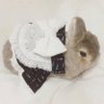 tutuu's profile picture