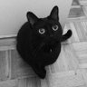 Ethan M. (glifocat)'s profile picture