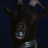 Tha🐐 profil fotoğrafı