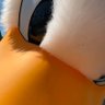 Polly profil fotoğrafı