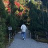 もちや profil fotoğrafı
