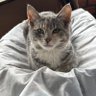 Krizobibi's profile picture