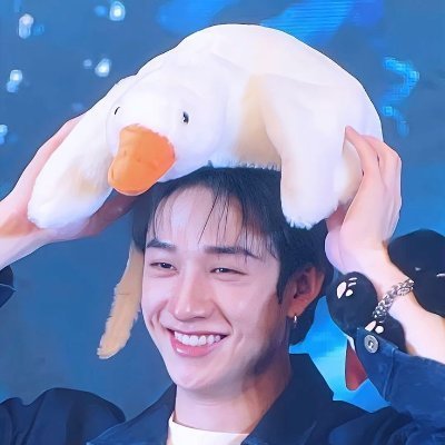 chansea 🪿's profile picture