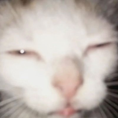 Fuck_off_Matt's profile picture