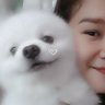 🚀SHIBA🐰INU🦊🐈‍⬛🌻🧋's profile picture