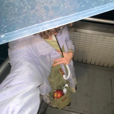 noah❦(beanlette)'s profile picture