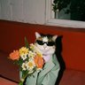 Profilbild von eesh